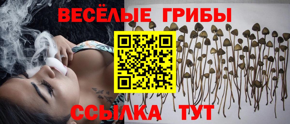 Дивногорск  Псилоцибиновые грибы мицелий  Вход с VPN 