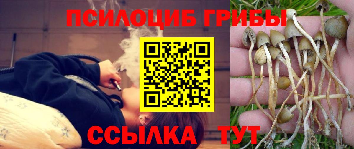 Галлюциногенные грибы прущие грибы Дивногорск